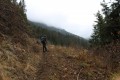 Kilátópont - Szakadát Van szebb része is Tolvaj-kő